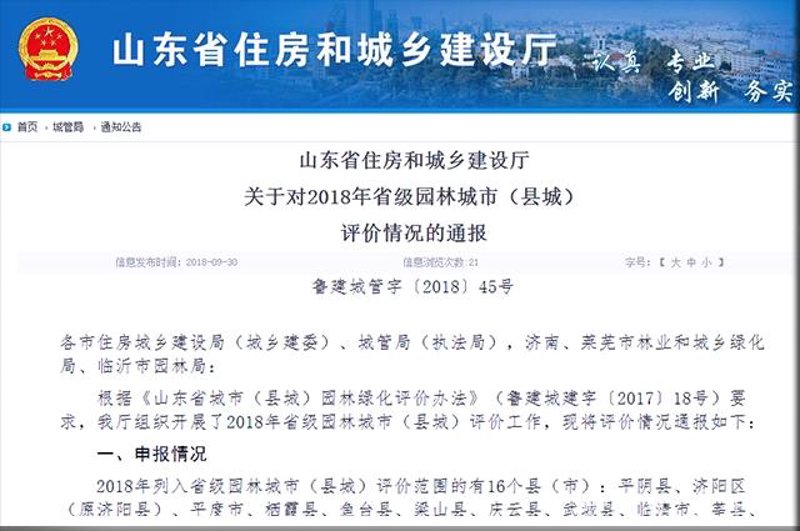 成武网站建设